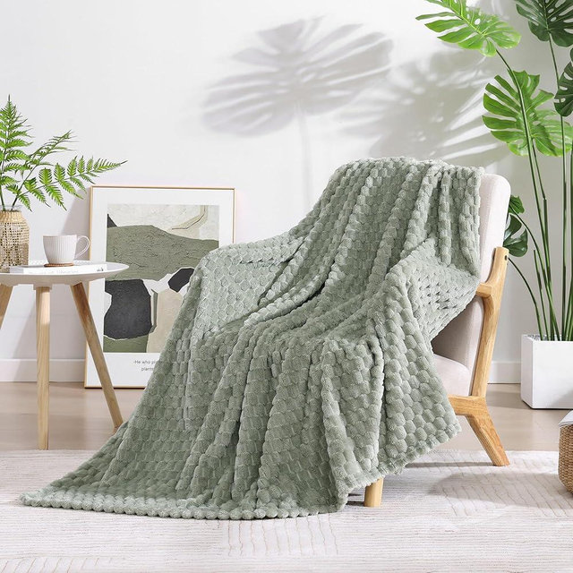 Monbix Light Sage Green Fleece Throw Blanket for Couch- Room Decor Soft Cozy Blankets for Women,Lightweight Fleece Flannel Bed Blanket Suitable for All Seasons(50"×60",Light Sage Green)