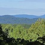 Saunders-Monticello Trail