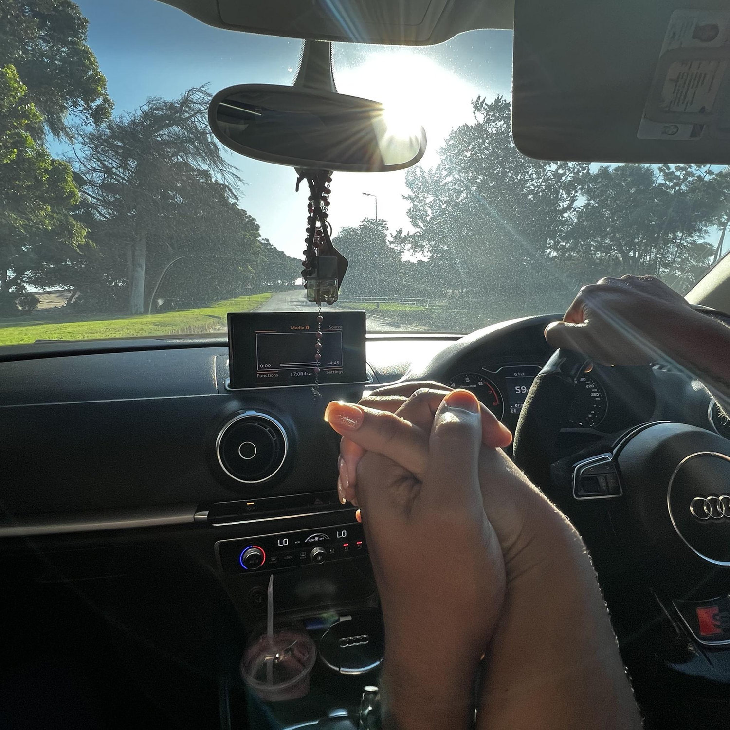 Our afternoon drives.
