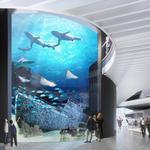Mote Marine Laboratory & Aquarium