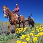 Horseback Riding