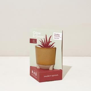 Aloe Candle & Grow Kit
