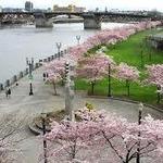 Tom McCall Waterfront Park