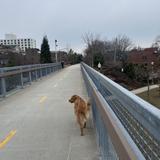 The 606 Trail