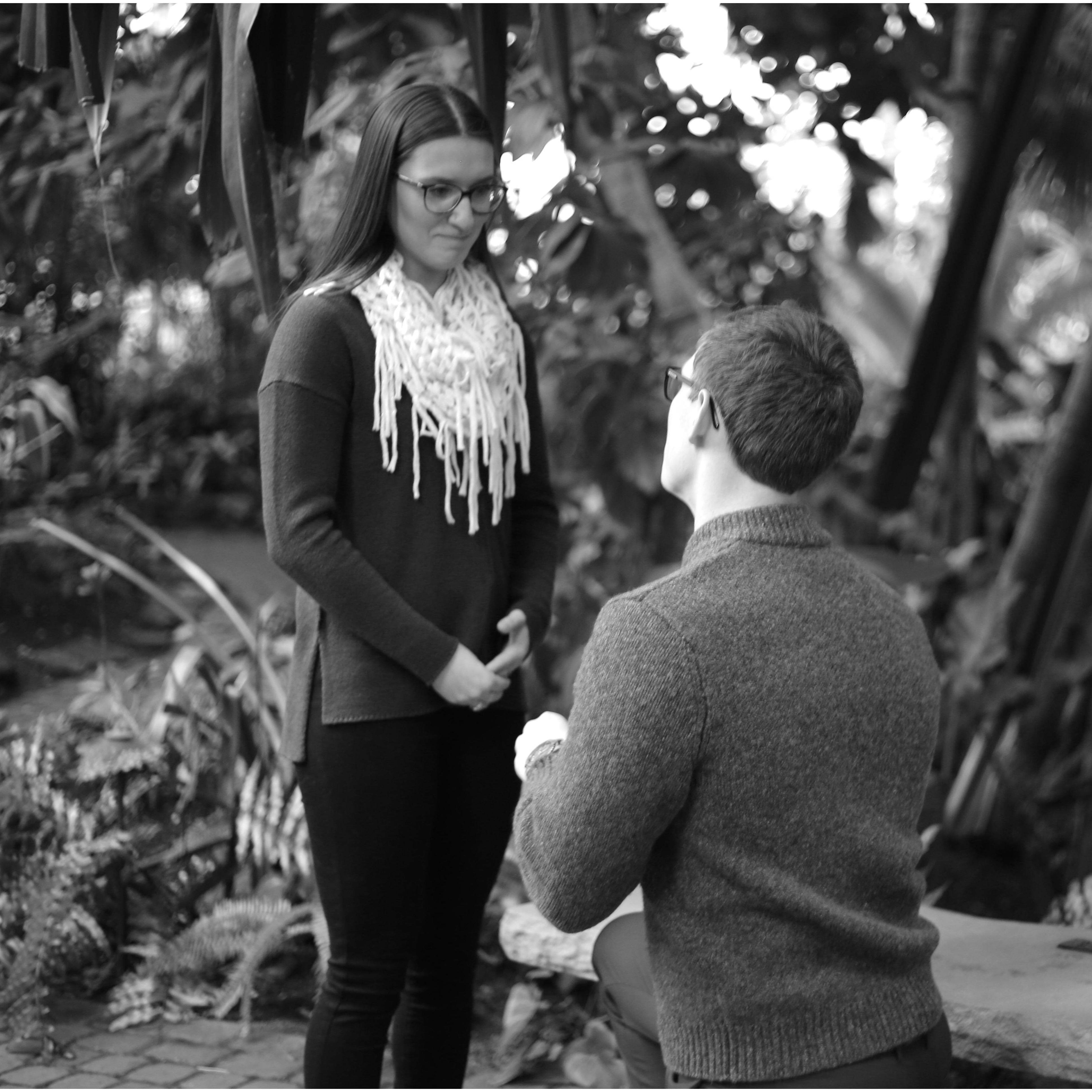 It's proposal time! 💍