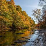 Trexler Nature Preserve