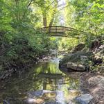 Asheville Botanical Garden