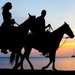Horseback Riding