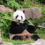 Smithsonian National Zoological Park