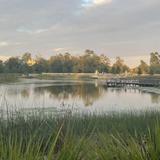 Memorial Park
