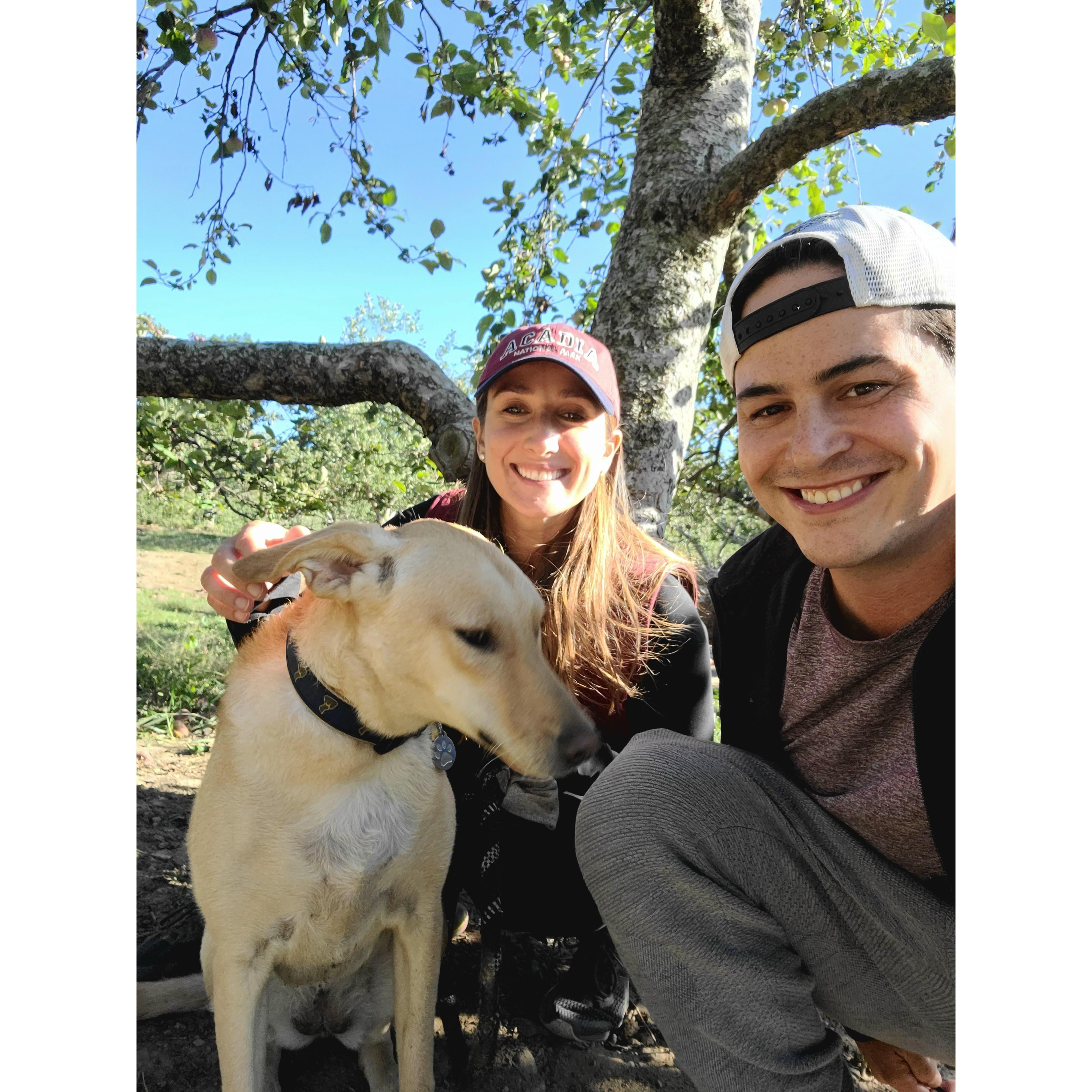 Apple picking! October 2020