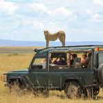 Aquila Private Game Reserve- Safari