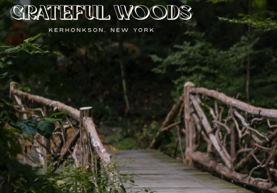 The Wedding Website of Peter Shanahan and Nadia Berenguer