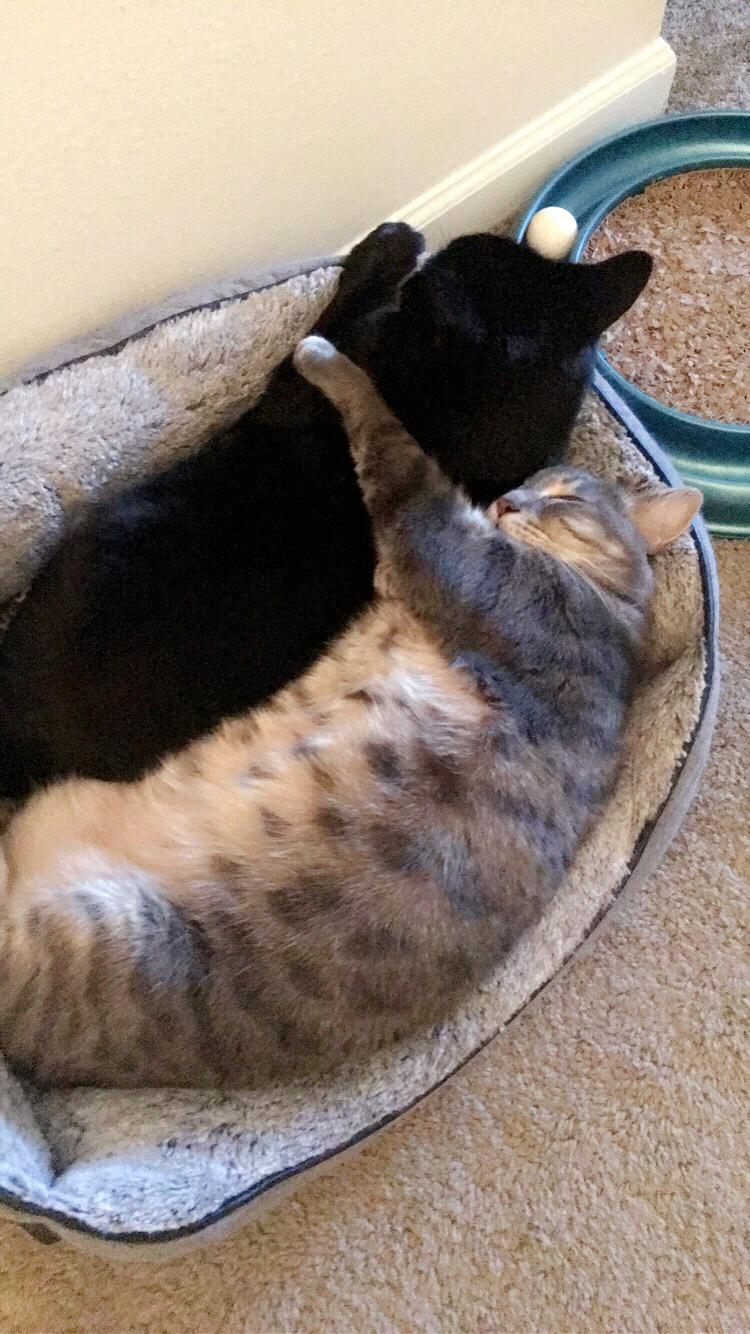 Newman & Salem 🖤