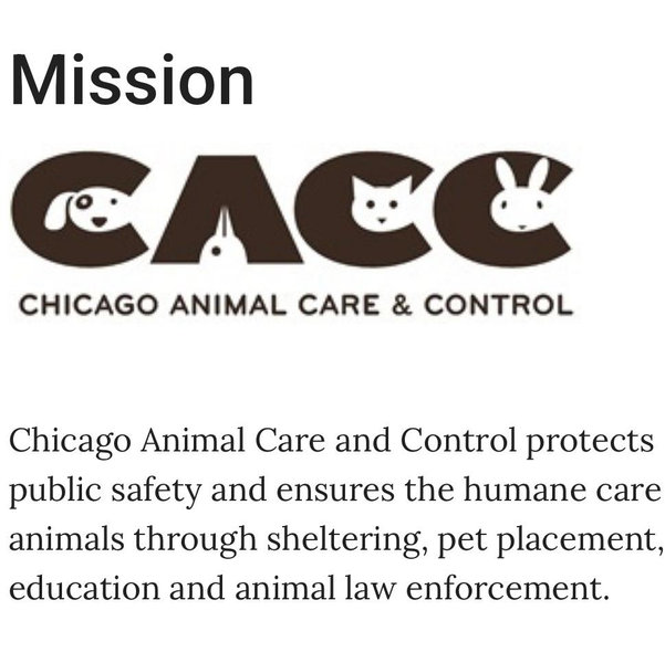Chicago Animal Care and Control