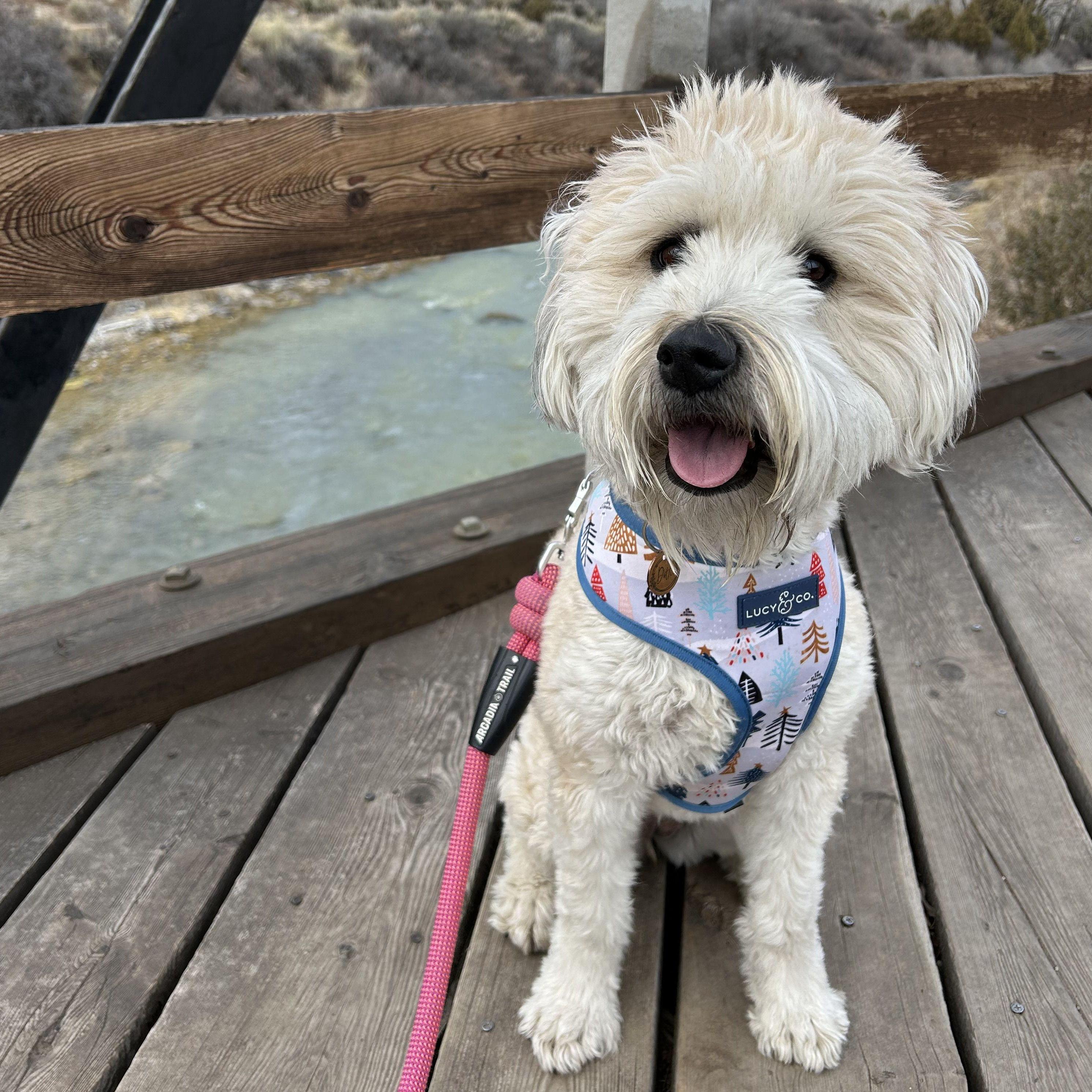 Dottie visits Ridgway, CO