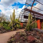 Desert Botanical Garden