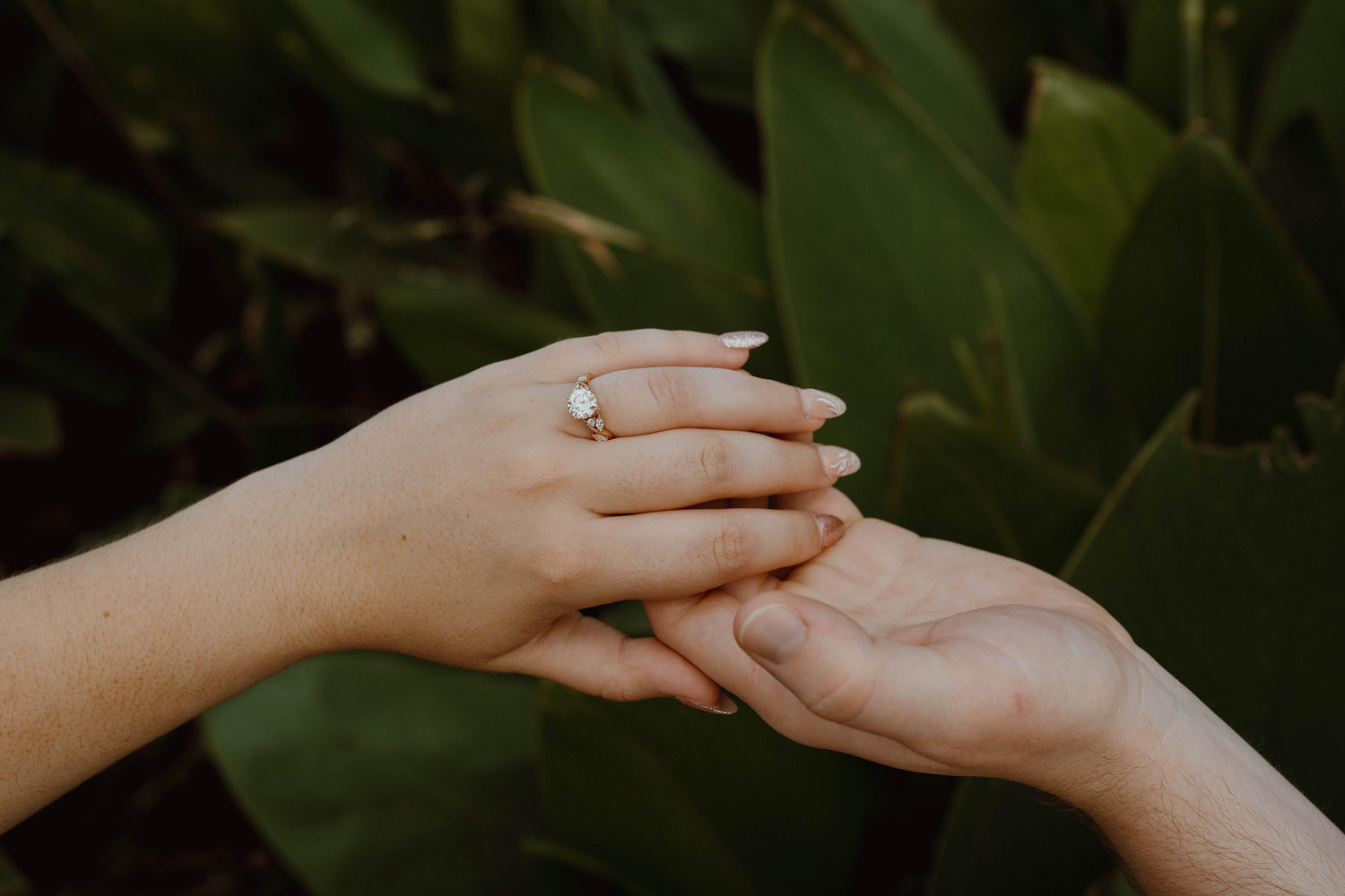 The Wedding Website of Arianne Shipp and Aaron Jones