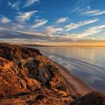 Torrey Pines State Beach