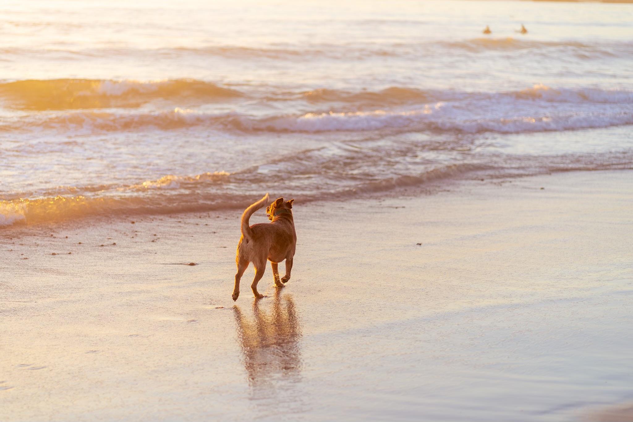 The Wedding Website of Angela Marko and Dale Gsellman