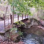 Charlie Major Nature Trail