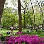 Rittenhouse Row