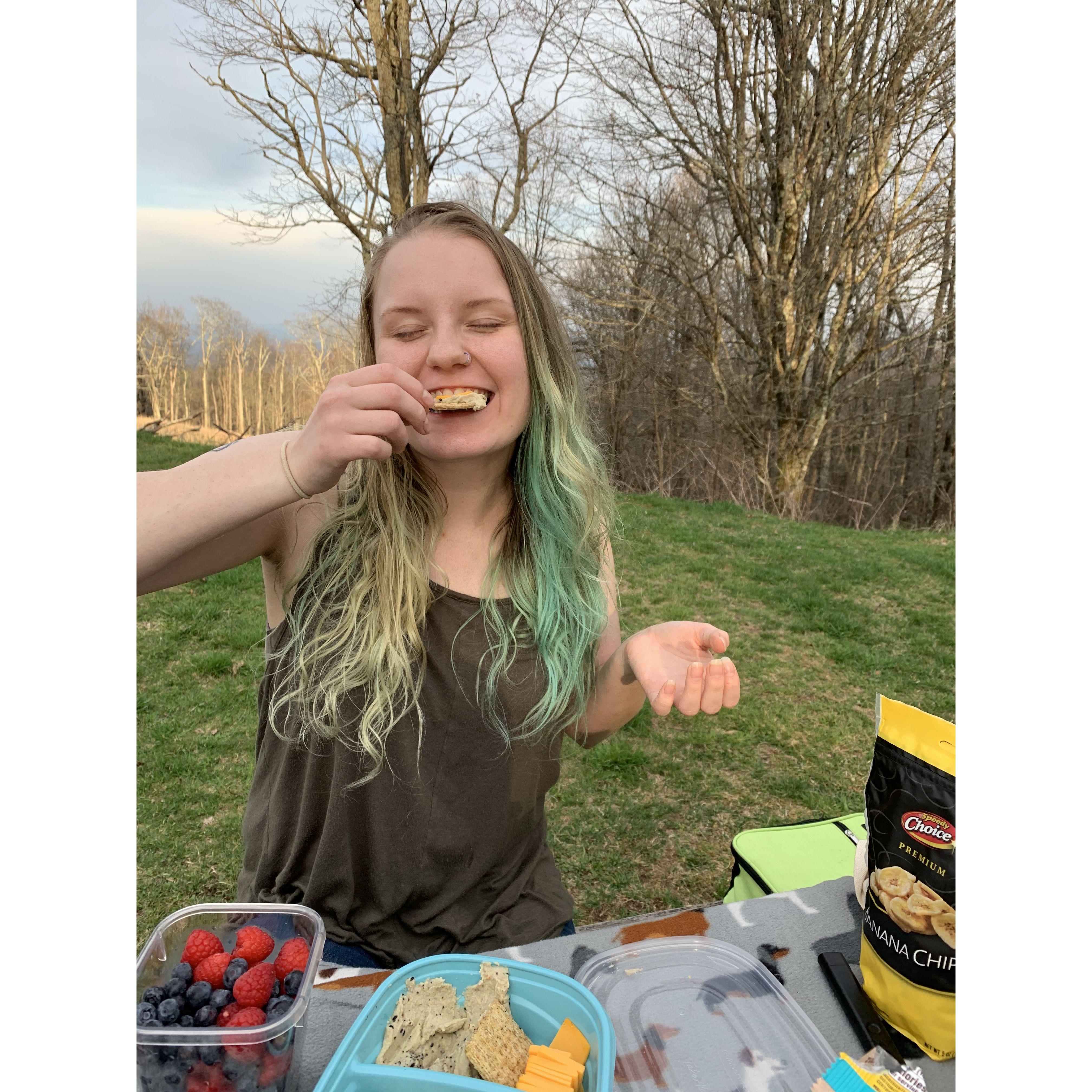 Picnic on the Blue Ridge Parkway in 2020!