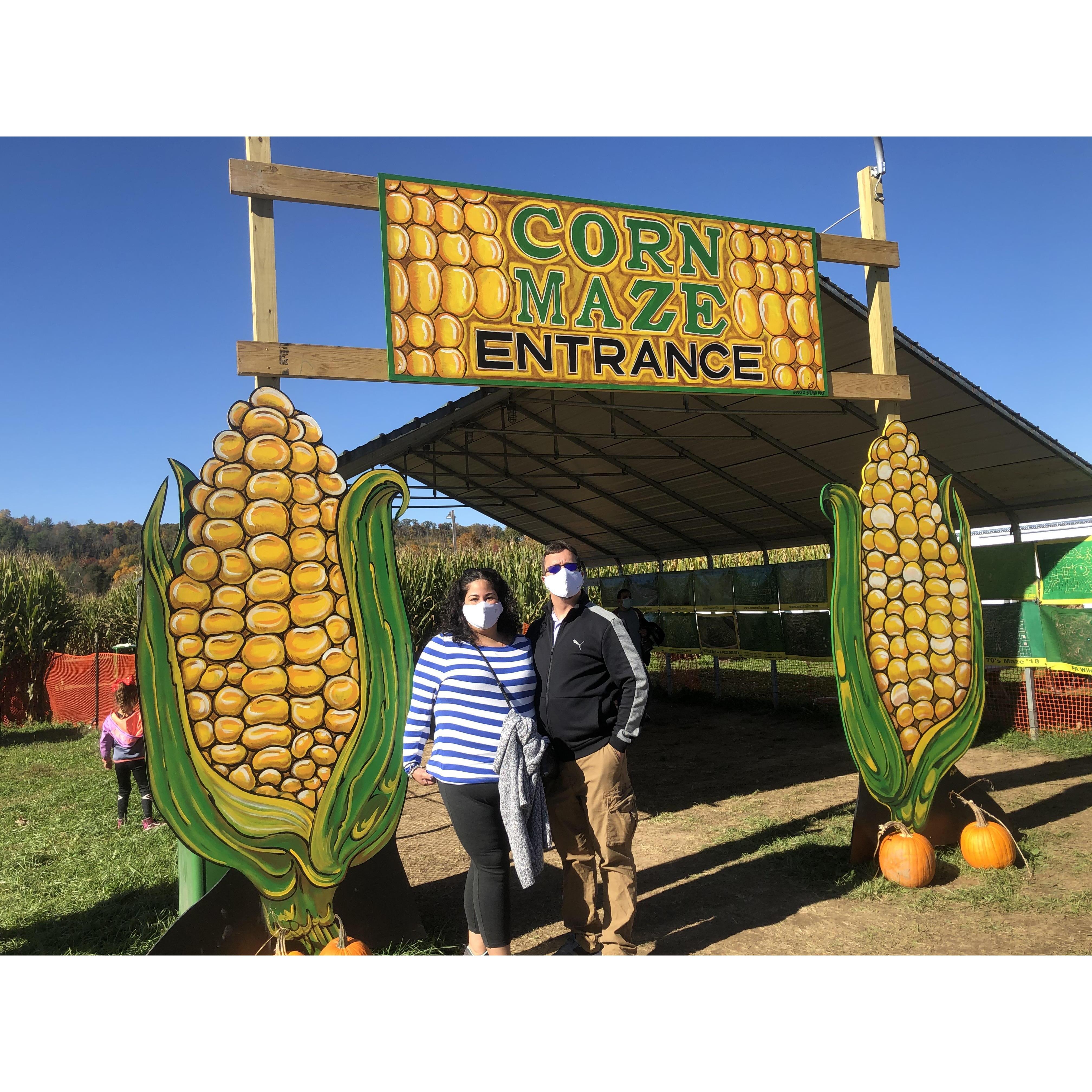 Mazezilla at Klinger Farms
Saylorsburg, PA
October 2020