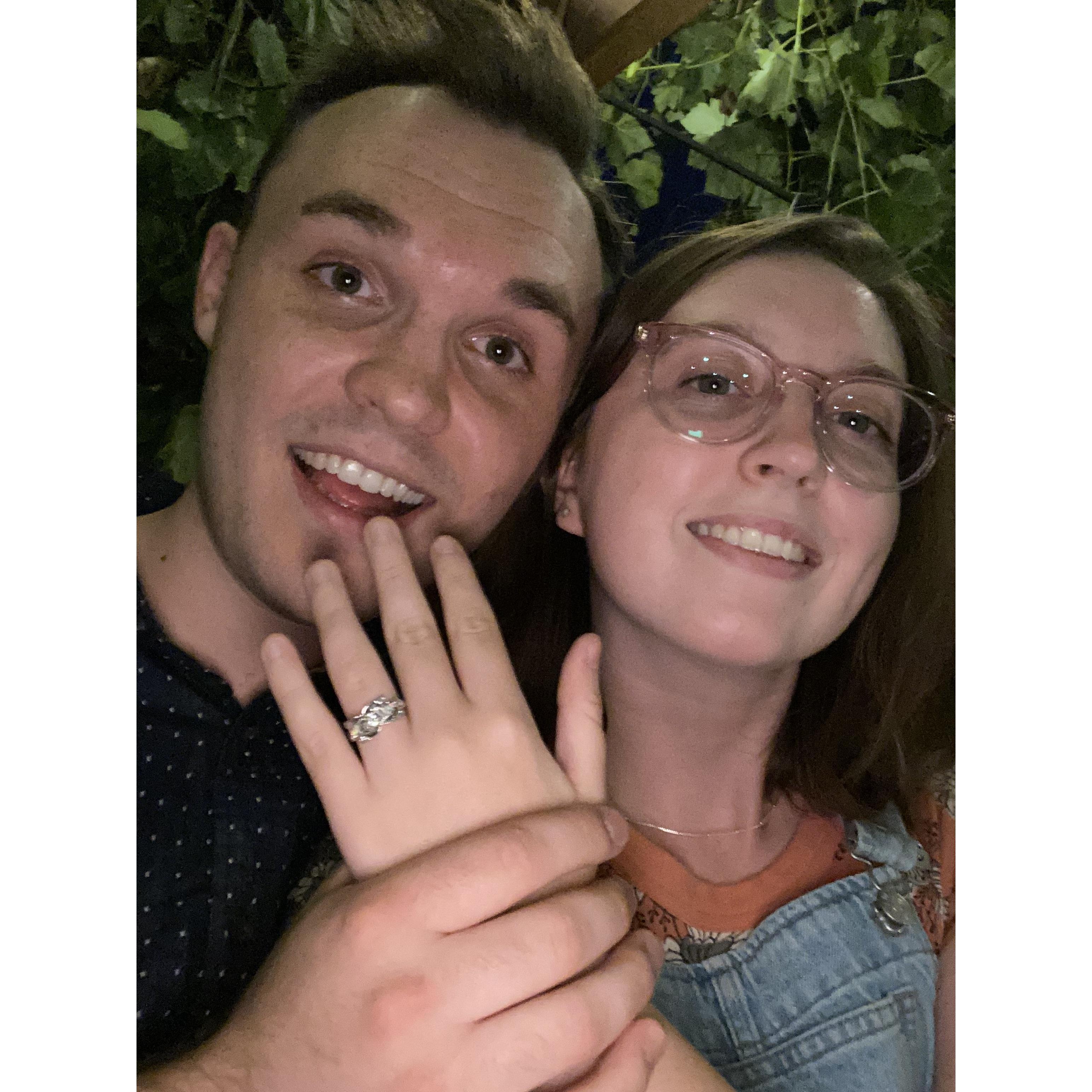 The proposal!