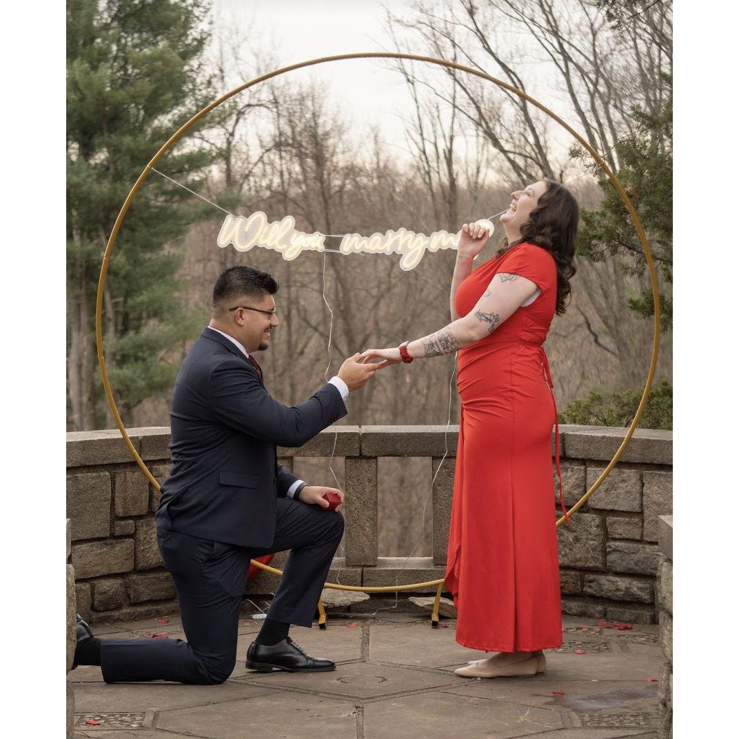 The most perfect proposal ever!