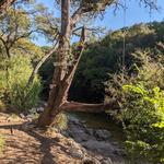 Barton Creek Greenbelt