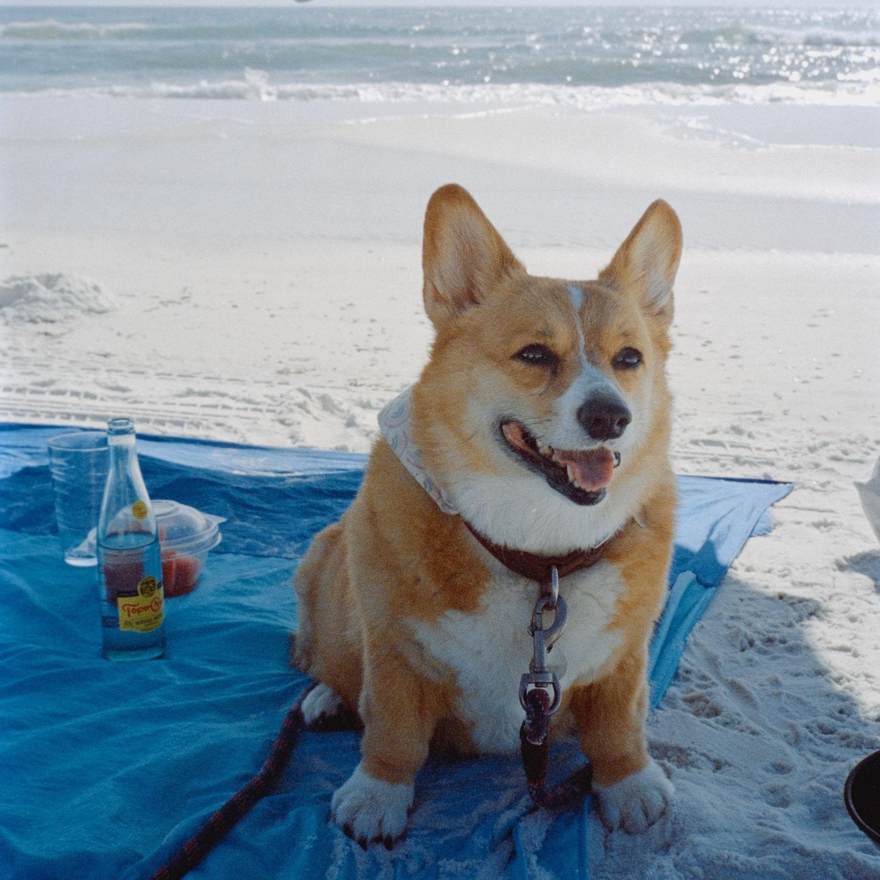 Cossie on the Cape :)