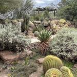 Boyce Thompson Arboretum