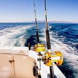Sport Fishing