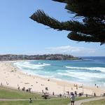 Bondi to Coogee Walk