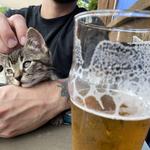 Ludington Bay Brewing Co