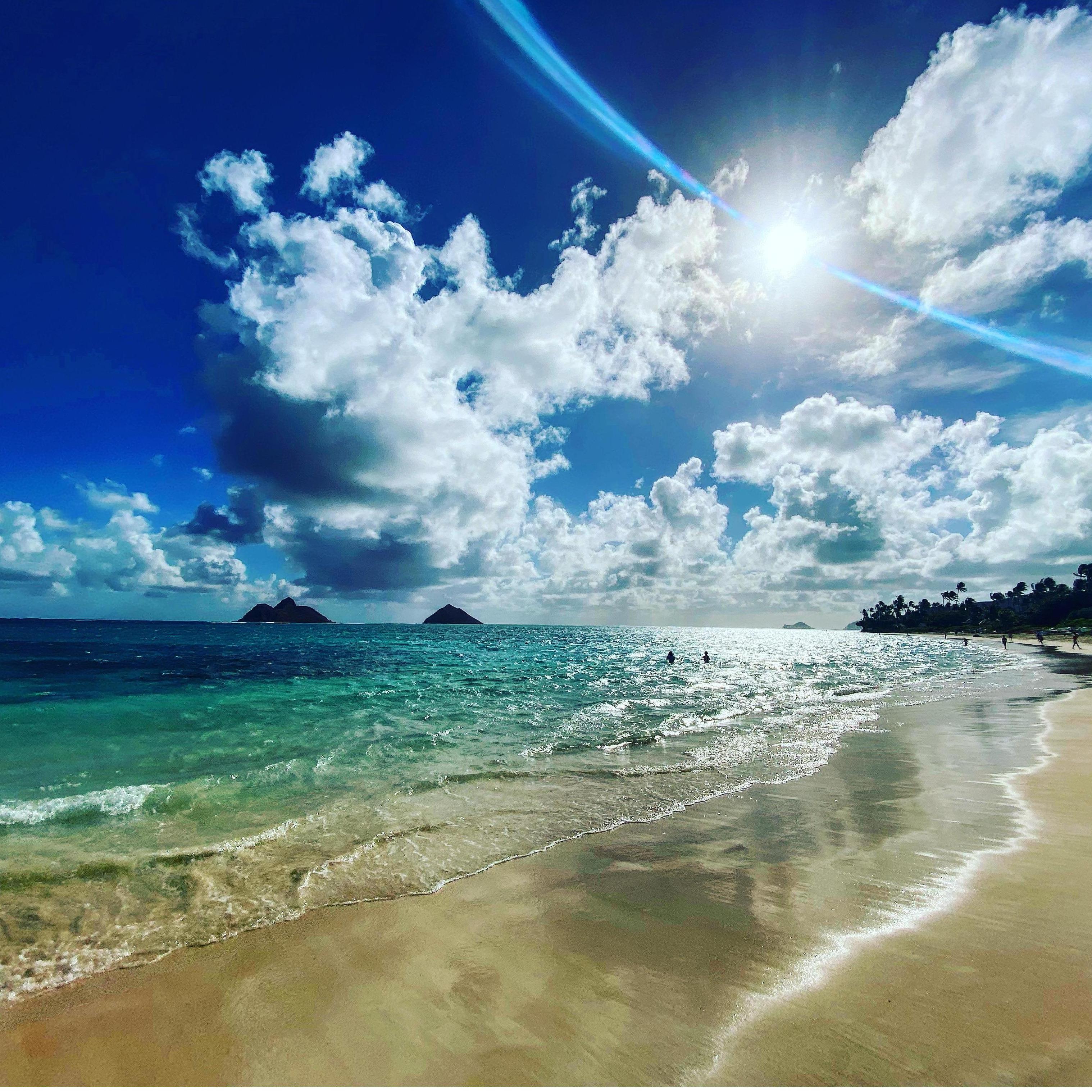 Christmas in Hawaii 2020