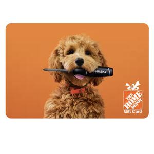Home Depot Gift Card