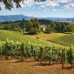 Willamette Valley Vineyards