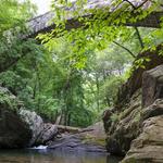 Wissahickon Valley Park