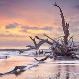 Talbot Island State