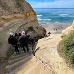 Torrey Pines State Natural Reserve