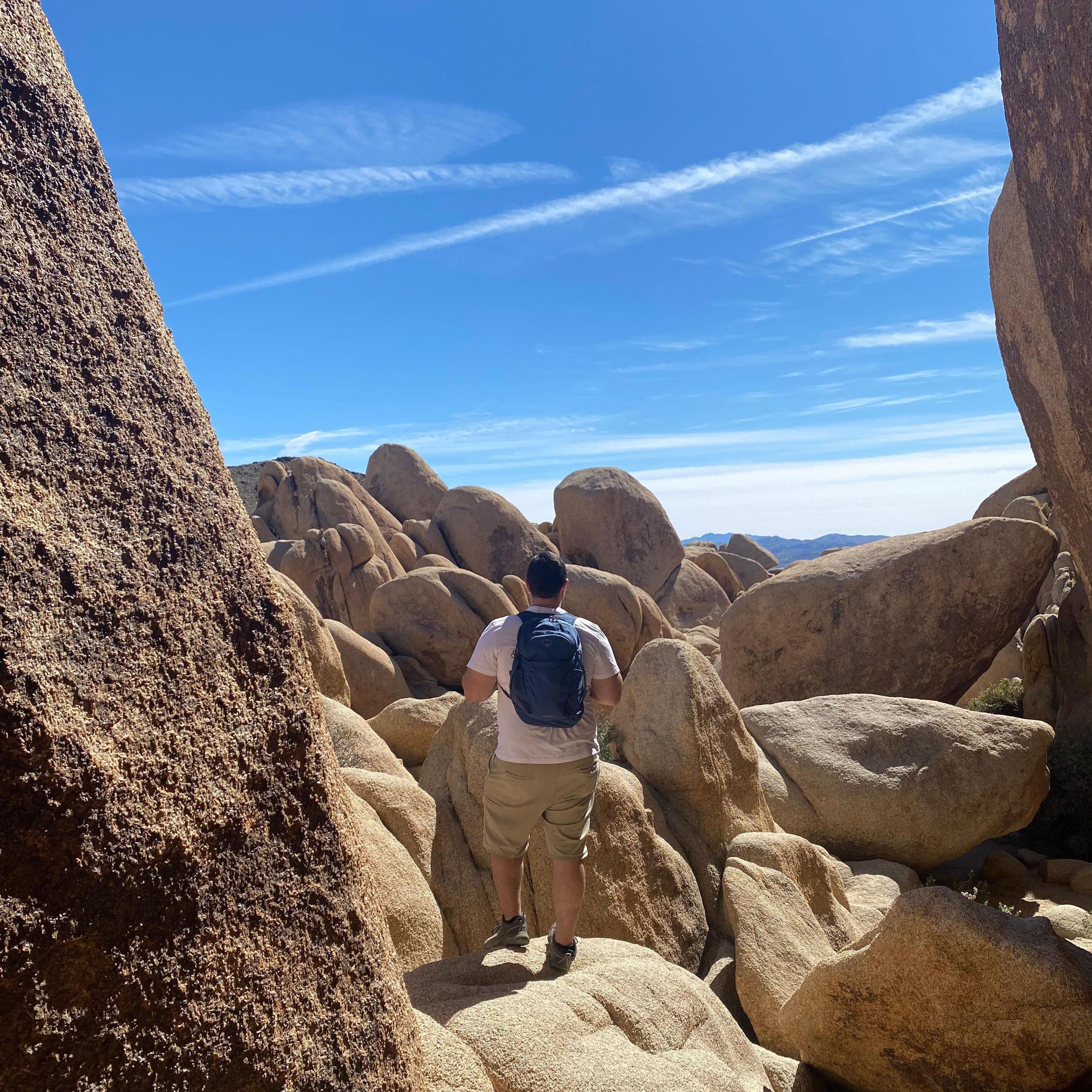 Joshua Tree National Park, 2022