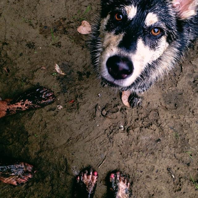 August 4th, 2014:
Went for a muddy hike together with Samantha's dog, Ellie, and had to go barefoot in the lake. 👣