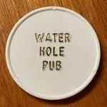 Water Hole Pub
