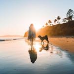 Butterfly Beach