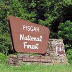 Pisgah National Forest