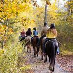 Horseback Riding - Legends Riding Stables