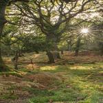 Killarney National Park