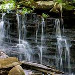 Ricketts Glen State Park Trail